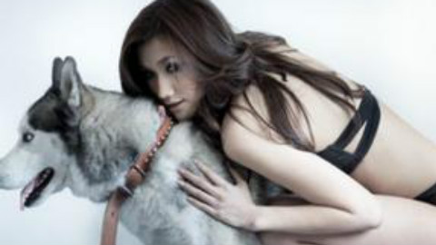 一群野兽把美女扑倒在地上。。。。。。